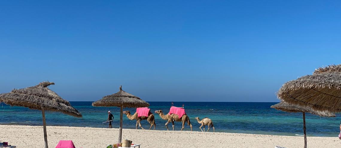 Billets d'avion Djerba