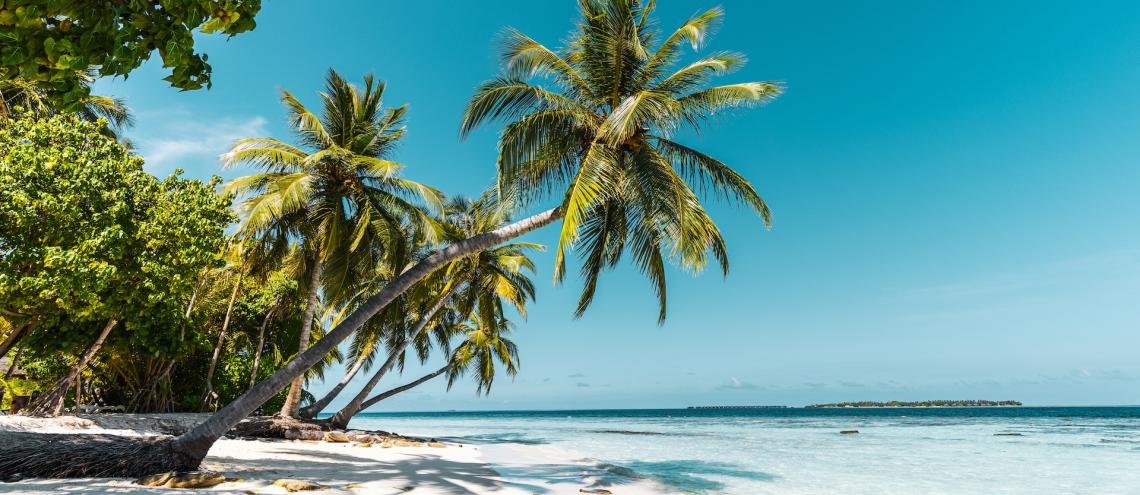 Punta Cana Punta Cana