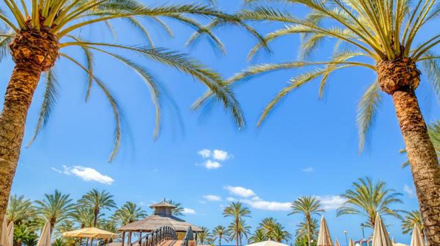 Hôtel SBH Costa Calma Beach Resort