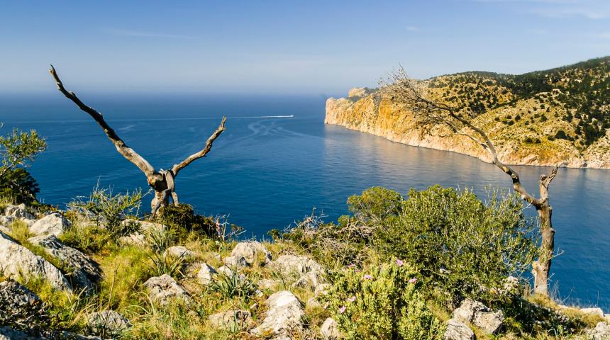 Billets d'avion Mallorca