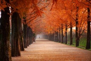 vacances de toussaint '2026- vacances d'automne 2026